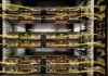 Trump considers order to override state regulations on artificial intelligence