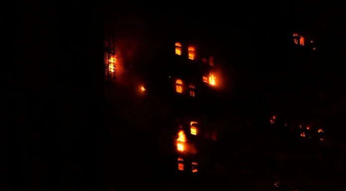 Hong Kong resident watches his home burn after leaving dog behind