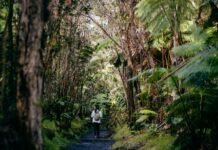 How Kailani Tours Is Raising the Bar for Luxury Island Travels Through Bespoke and Culture-Rich Tours Across Hawai’i