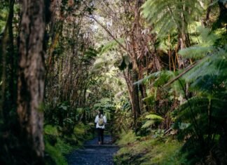 How Kailani Tours Is Raising the Bar for Luxury Island Travels Through Bespoke and Culture-Rich Tours Across Hawai’i