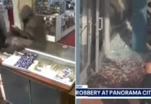 Wild video shows smash and grab suspects rob LA jewelry store