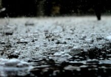 Flood Watches Hit Los Angeles In Midst of Heavy Rain