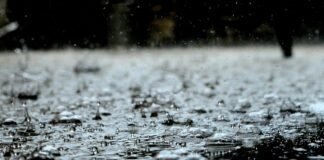 Flood Watches Hit Los Angeles In Midst of Heavy Rain