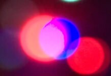 Shots fired as two men try to rob Murray jewelry store, police say