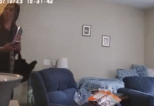 Pearland police seek suspect after jewelry stolen from nursing home resident’s room