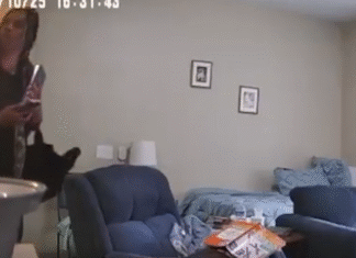 Pearland police seek suspect after jewelry stolen from nursing home resident’s room