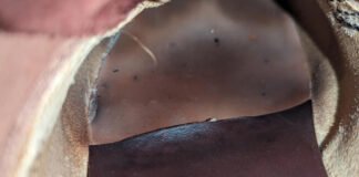 Guide – Solving sock lining coming loose