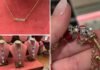 New Mickey Diamond Jewelry, Disneyland Marquee Collection, and Santa Stitch Charm at Disney World