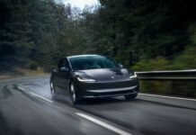 Chinese car brands gain ground as buyers turn away from Tesla