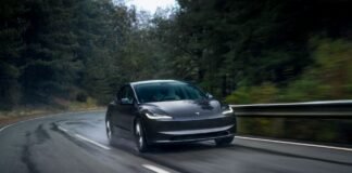 Chinese car brands gain ground as buyers turn away from Tesla