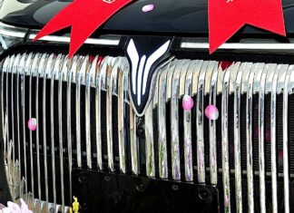 Dozens Of Chinese EV Brands Could Collapse In The Next Year