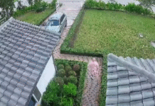 Burglar steals more than $30K in jewelry from home in Southwest Ranches; homeowner speaks out – WSVN 7News | Miami News, Weather, Sports