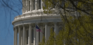 Arkansas lawmaker responds to Trump’s proposed executive order to preempt state AI laws