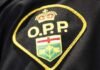5 youths charged after brazen daytime robbery at Barrie jewelry store