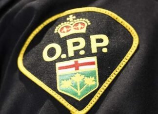 5 youths charged after brazen daytime robbery at Barrie jewelry store