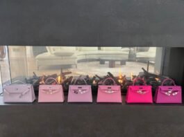 Is It Mini Kelly Fatigue or an Overexposed
Obsession?