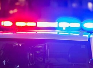 Woman receives jail sentence for jewelry store theft in 2022