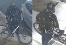 Man on bike accused of stealing $1,000 worth of handbags from downtown Bakersfield car
