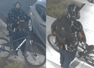 Man on bike accused of stealing $1,000 worth of handbags from downtown Bakersfield car
