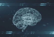 Artificial intelligence “explosion” has changed the accounting industry in Arkansas