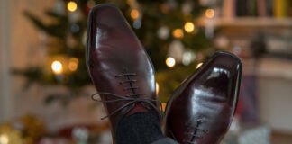 The picture – Merry Christmas 2025