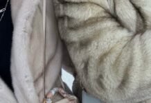 10 Articles Every Bag Lover Should Read Before 2026