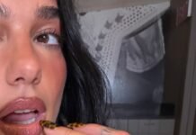 Celebs Are Obsessed With Animal-Print Nails—5 Takes That Will Dominate This Winter