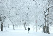 Winter storm watches issued: Parts of Central NY could get 7 inches of snow or more