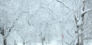 Winter storm watches issued: Parts of Central NY could get 7 inches of snow or more