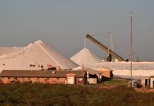 From Mines to Oil Rigs, How AI Is Rewiring Mining, Energy and Agriculture