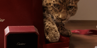 Jewelry Is Outshining Handbags—And Richemont’s Latest
Results Prove It