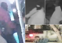 PA State Police seek thief who stole $20,000 worth of watches from Northampton County home