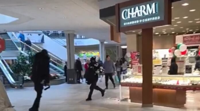 Five teens facing numerous charges after violent jewelry store robbery