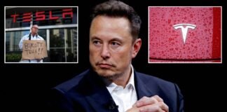 Elon Musk faces Tesla crisis after defect investigation launched with 179,000 cars impacted