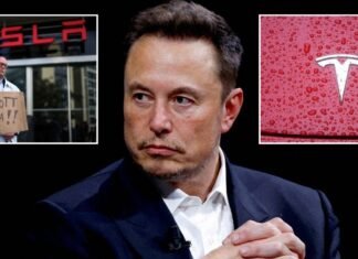 Elon Musk faces Tesla crisis after defect investigation launched with 179,000 cars impacted