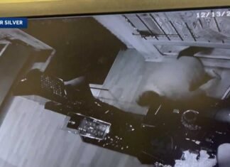 Holiday cheer cut short at Old Sacramento jewelry store by power saw perpetrator