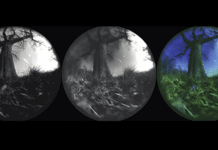 Seeing the world as animals do: How to leverage generative AI for ecological neuroscience