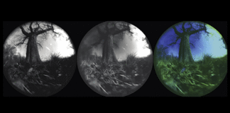Seeing the world as animals do: How to leverage generative AI for ecological neuroscience