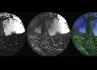 Seeing the world as animals do: How to leverage generative AI for ecological neuroscience