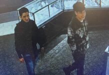 Thieves steal $10,000 gold chain from Colorado jewelry store