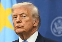 ‘Cars of the very near future’: Trump approves tiny cars for US production amid skepticism