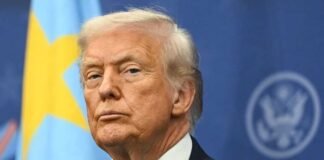 ‘Cars of the very near future’: Trump approves tiny cars for US production amid skepticism