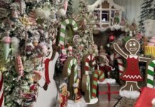 Step inside one Florida man’s home, bringing Christmas magic to life with artificial intelligence