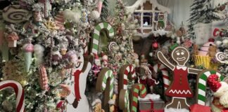 Step inside one Florida man’s home, bringing Christmas magic to life with artificial intelligence