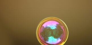 The AI Bubble: Why tech leaders warn of a bust—and what it means for you
