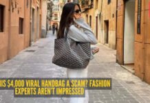 Fashion expert warns everyone to skip this viral designer tote bag worth Rs 3.5 lakh, no matter how rich you are! | – The Times of India