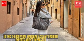 Fashion expert warns everyone to skip this viral designer tote bag worth Rs 3.5 lakh, no matter how rich you are! | – The Times of India