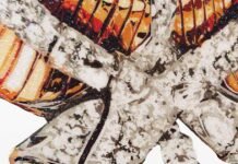 Artist Caroline Zurmely’s Nail Polish Paintings Give High Jewelry a New Shine