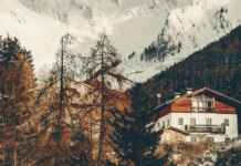 The Great Winter Escape
