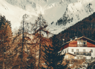 The Great Winter Escape
